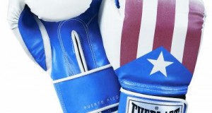 Will The Next Great Puerto Rican Boxer Please Stand Up?