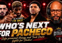 ☎️Diego Pacheco's Next Move, Andy Cruz at 130 & Can Zuffa Deliver for Shakur Stevenson❓